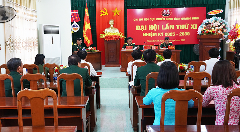 Đại biểu trình bày báo cáo tại đại hội.