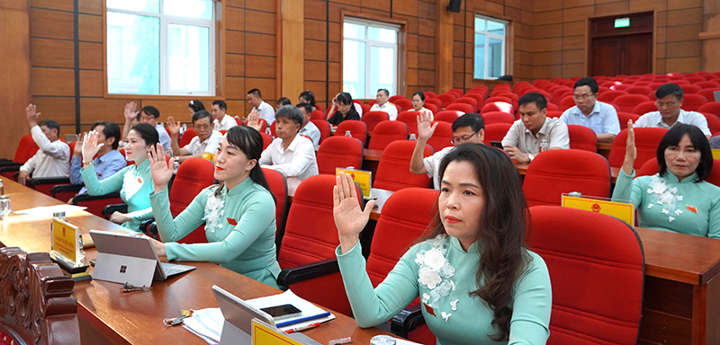 Các đại biểu biểu quyết thông qua các dự thảo nghị quyết.
