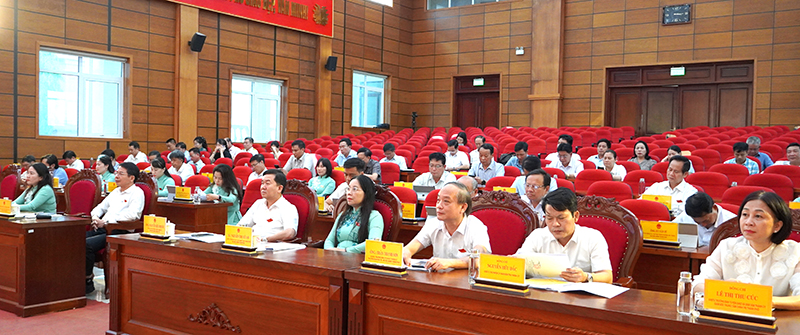 Các đại biểu tham dự.