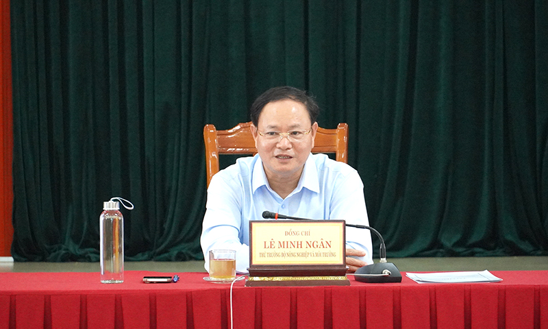 Đồng chí Thứ trưởng Bộ Nông nghiệp và Môi trường Lê Minh Ngân chủ trì buổi làm việc.