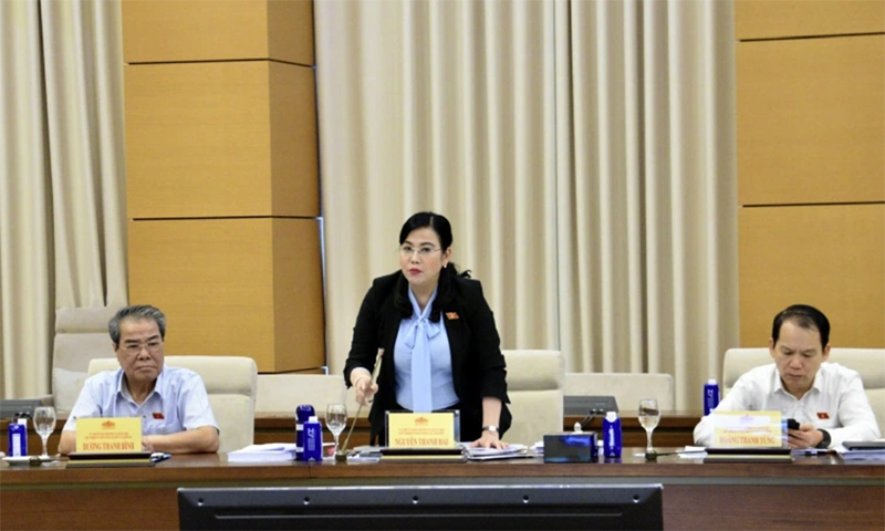 Đại biểu thảo luận tại phiên họp.