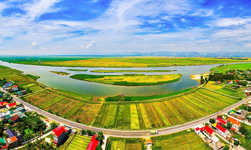 Trên cánh đồng Hạc Hải.