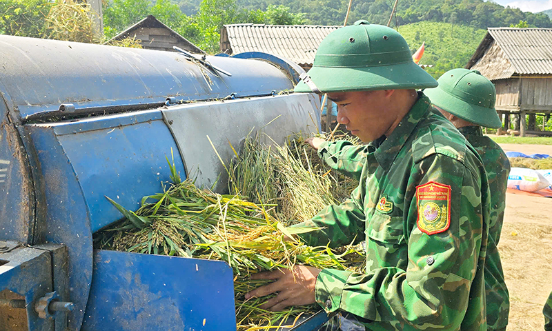 Cán bộ, chiến sĩ BĐBP giúp dân tuốt lúa.