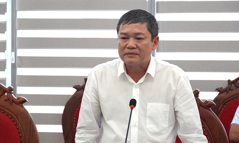 Đồng chí Phó Chủ tịch UBND tỉnh Phan Phong Phú phát biểu tại buổi làm việc.