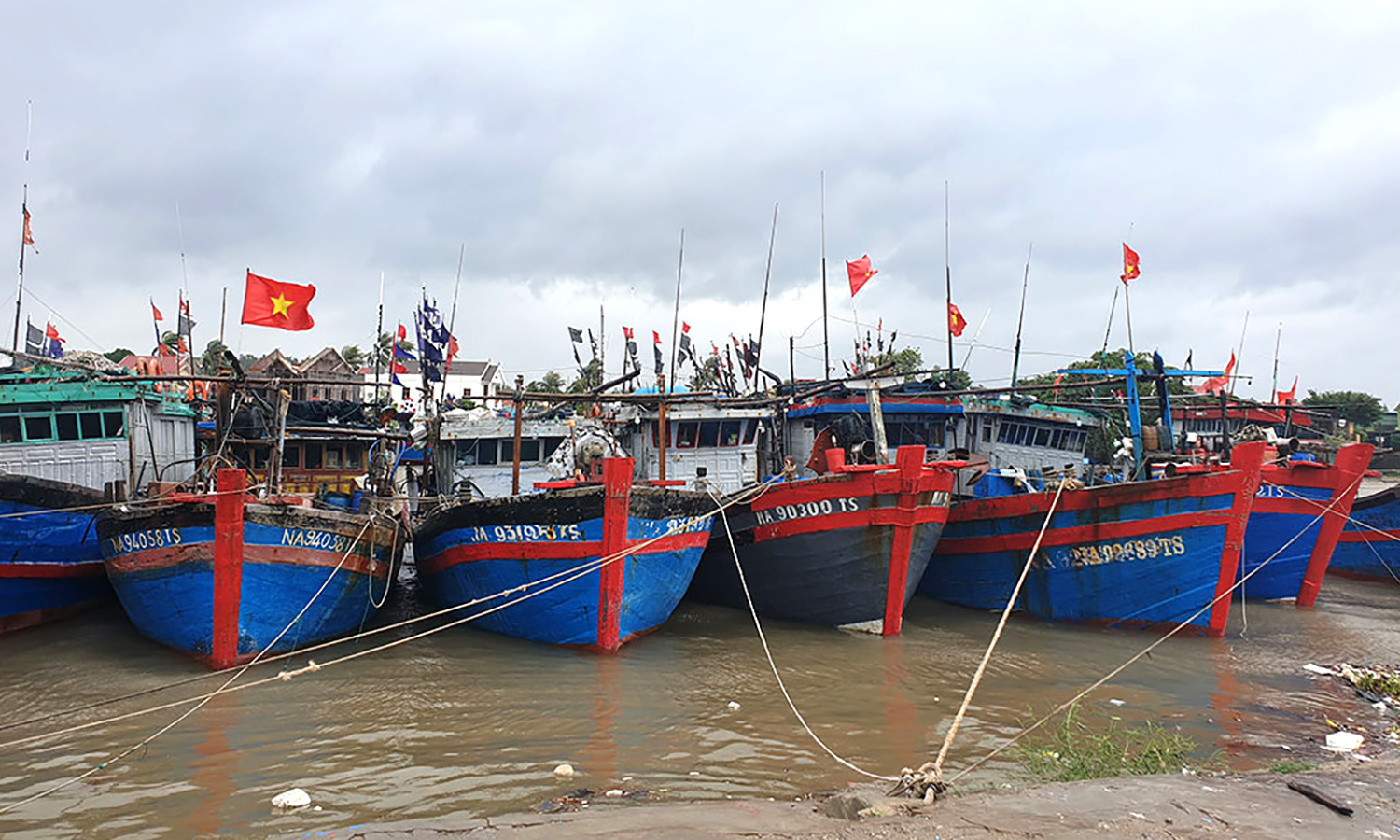 Ảnh minh họa.
