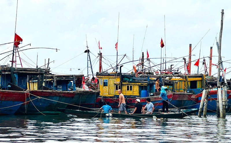Hoạt động khai thác thủy sản của ngư dân các xã biển trên địa bàn TP. Đồng Hới được đẩy mạnh, ngư trường được mở rộng.