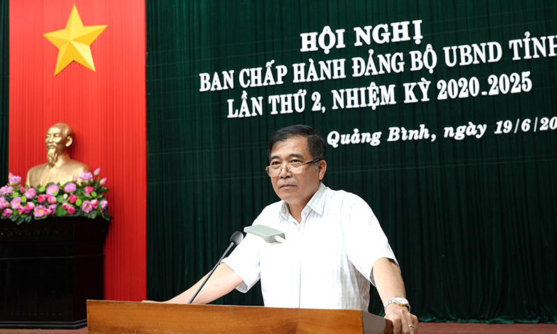Đồng chí Phó Chủ tịch Thường trực UBND tỉnh Đoàn Ngọc Lâm phát biểu kết luận tại hội nghị.