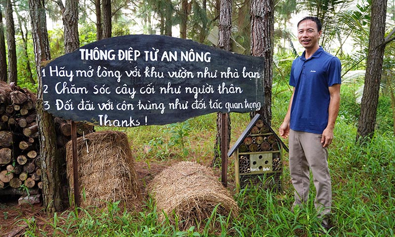 Mô hình trồng rau hữu cơ theo hướng  