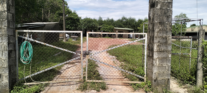 Trang trại chăn nuôi lợn Vũ Trung ở thôn Lê Xá, xã Mai Thủy (Lệ Thủy) bị người dân tố gây ô nhiễm môi trường nghiêm trọng.