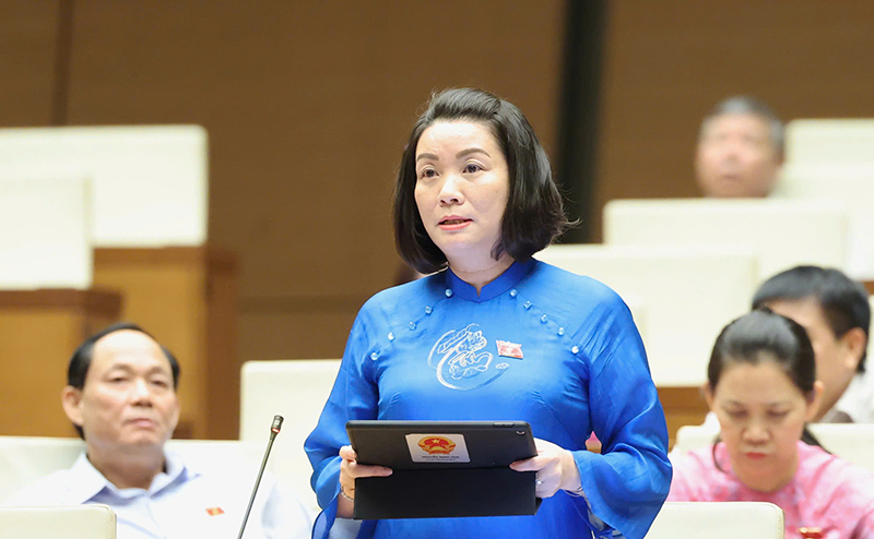 Đồng chí Phó trưởng đoàn chuyên trách phụ trách Đoàn đại biểu Quốc hội tỉnh Nguyễn Minh Tâm tham gia thảo luận tại hội trường.