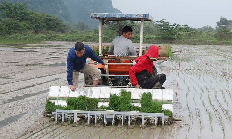 Sử dụng máy cấy góp phần bảo đảm khung thời vụ, giảm sử dụng thuốc bảo vệ thực vật.